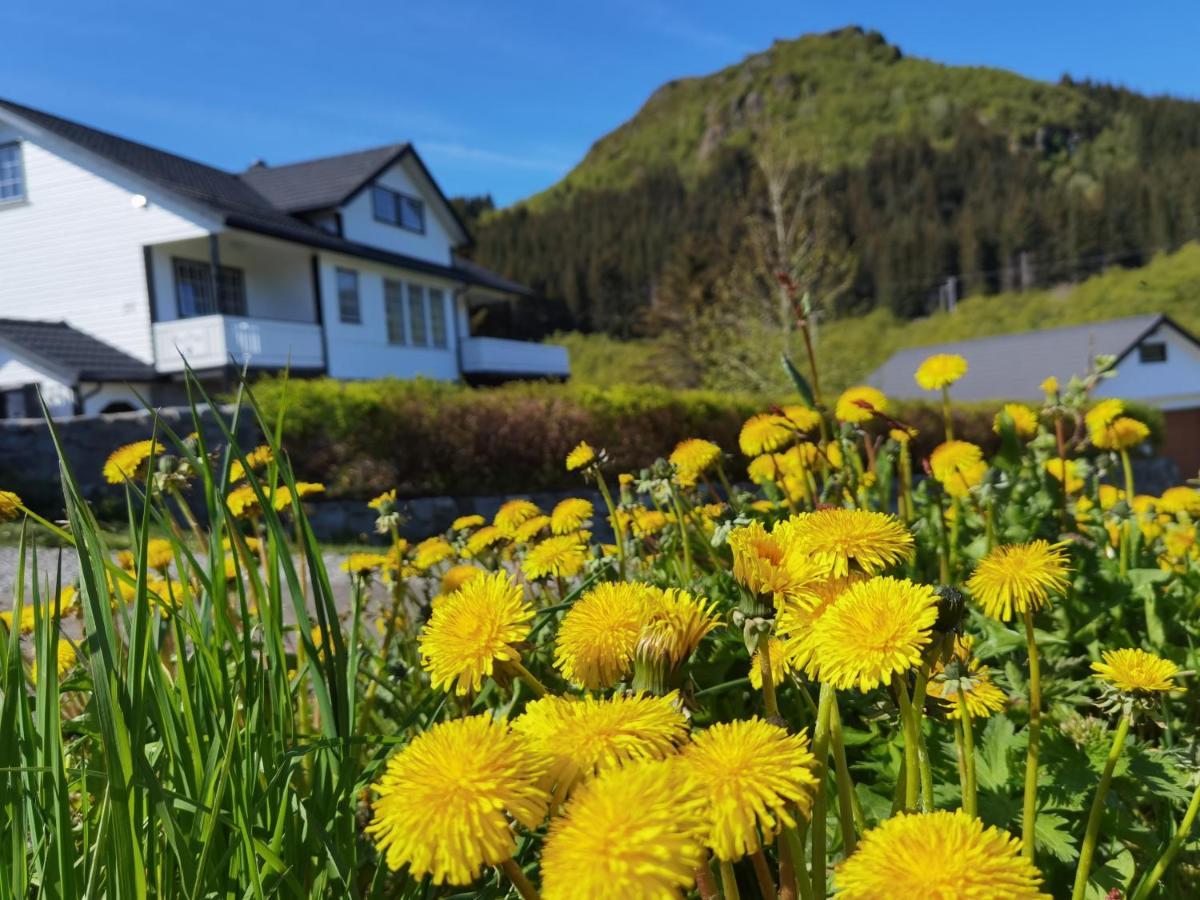 Banpim Hillside Lofoten With Jacusszi Gravdal  Dış mekan fotoğraf