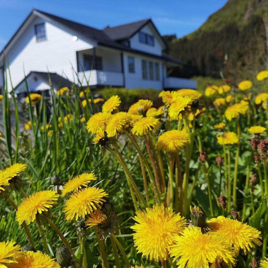 Banpim Hillside Lofoten With Jacusszi Gravdal  Dış mekan fotoğraf